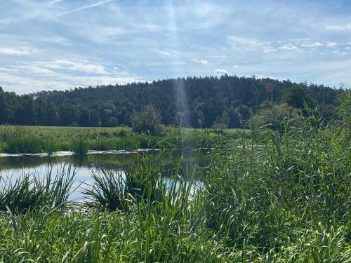 Apartamento Idyllische Ferienwohnung In Mossendorf