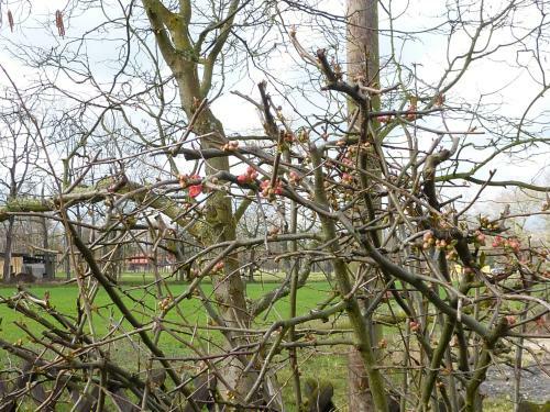 Apartamento Ferienwohnunmg Lehmann, Ursel