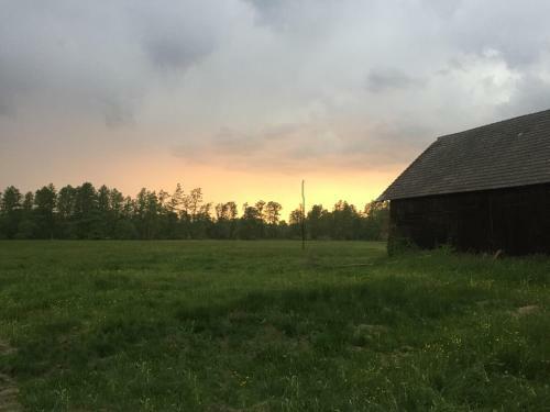 Apartamento Spreewaldhof Schupan - Fewo Spreewaldsonne