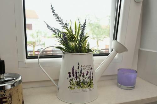 Apartman Lavanda