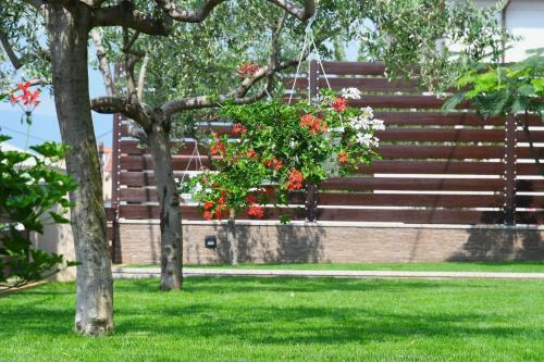 Apartman Lavanda
