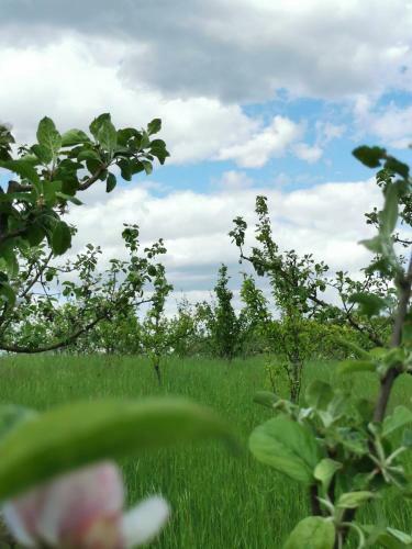 Apartamento Ferienwohnung In Der Ciderwirtschaft