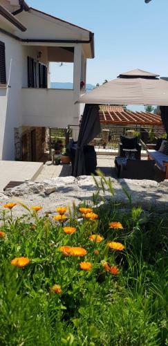 Villa Ku?a Za Odmor Pavincica