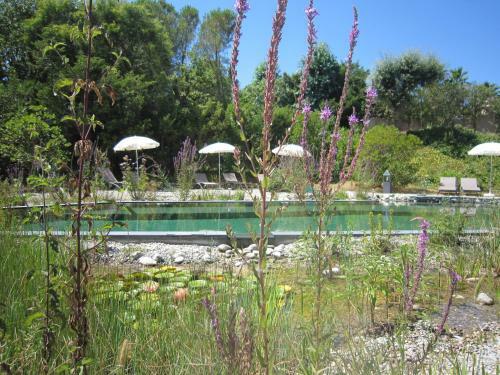 Aparthotel La Villa Les Hesp�rides