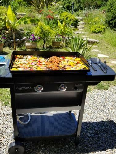 Aparthotel La Villa Les Hesp�rides
