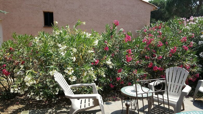 Bed & Breakfast Chambres D'h�tes Villa Aliz�