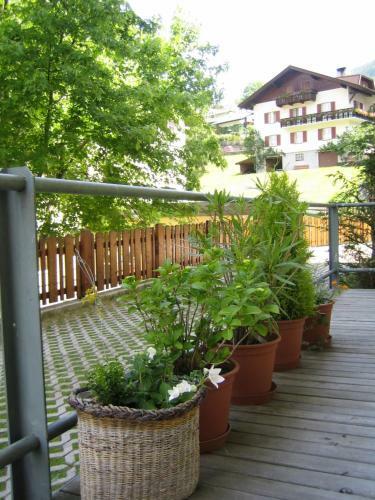 Apartamentos Residence Zum Theater