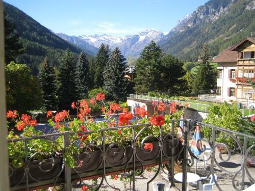 Hotel Schuster