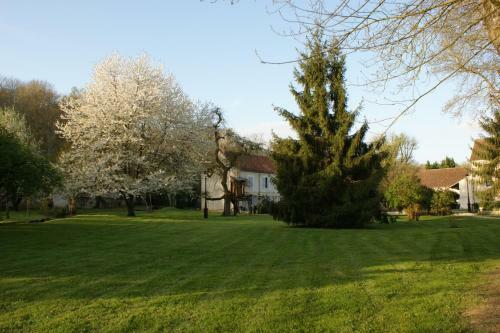Bed & Breakfast Le Moulin De Pommeuse