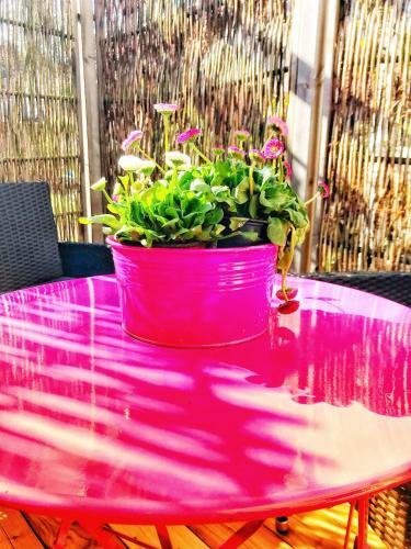 Apartamento Ferienwohnung Sch�nw�lder
