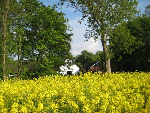 Apartamento Wrede-hof