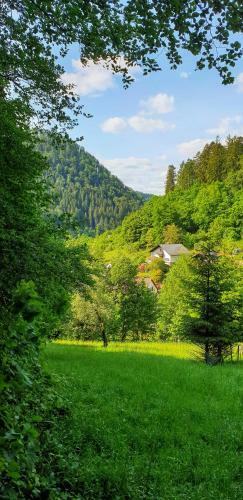 Apartamento Ferienwohnung Wolfsschlucht