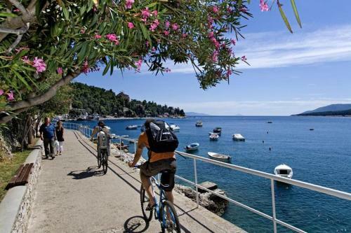 Sea And Wind Villa Labin