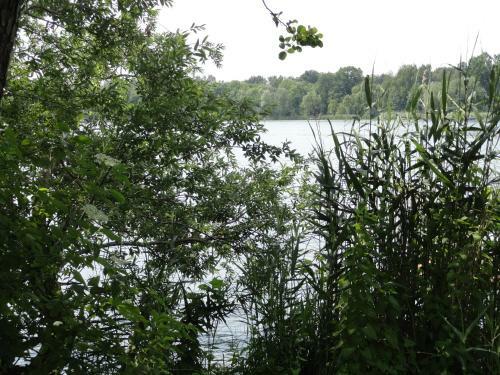 Apartamento Cottage Ferienwohnung Mit Seeblick