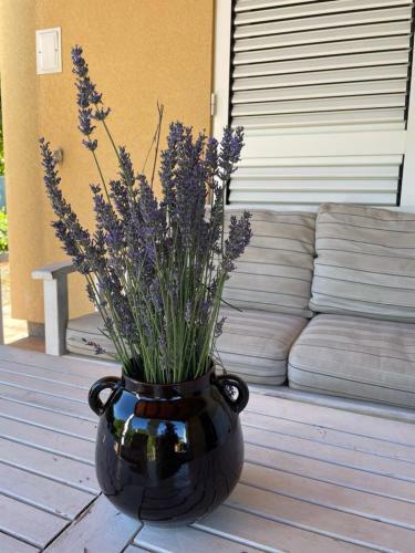 Villa Hannah Istria