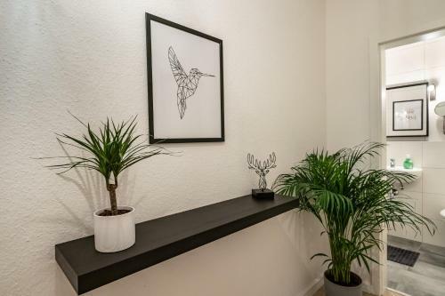 Apartamento Marvlex ? Modernes Studio Mit Wifi Und Netflix
