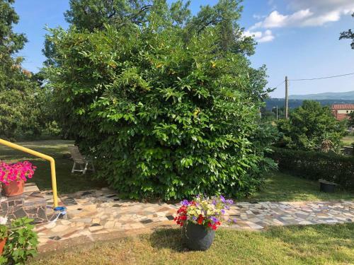 Celesta Garden Apartment Istria