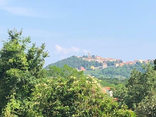 Celesta Garden Apartment Istria