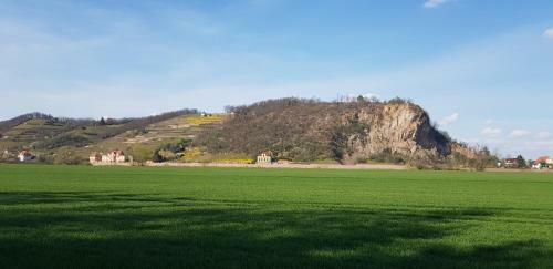 Apartamento Ferienwohnungen An Der Bosel