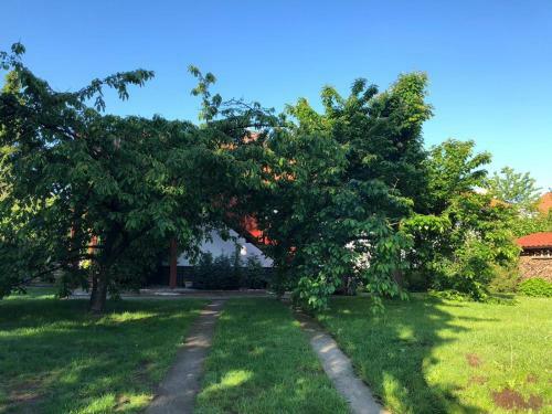 Apartamento Ferienwohnung- Sluka