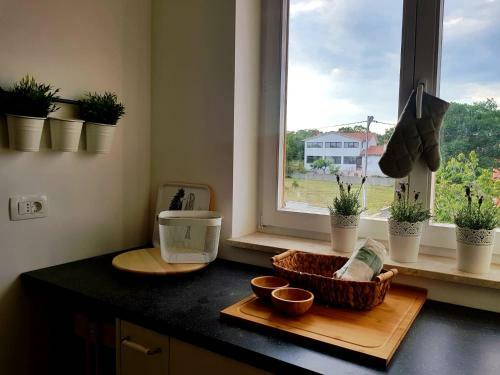 Apartment Kogej