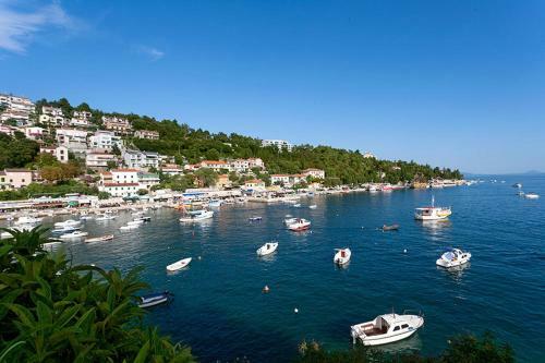 Villa Holiday Home Zahtila