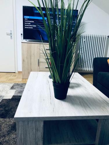 Apartamento Bleibe
