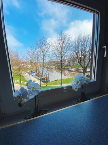 Apartamento G�stehaus Am Museumshafen