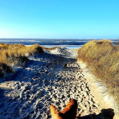 Hotel D�nenl�ufer Carolinensiel