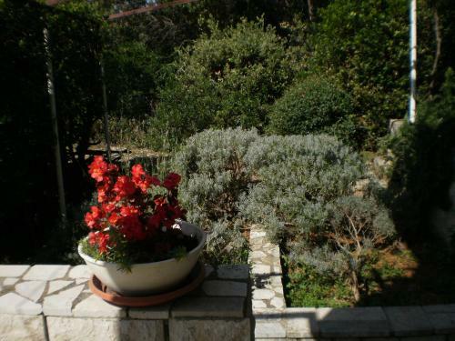 Apartmani Senka - Villa Oliver
