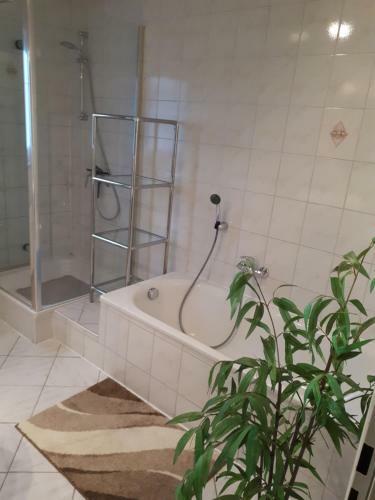Apartamento Ferienwohnung Brand