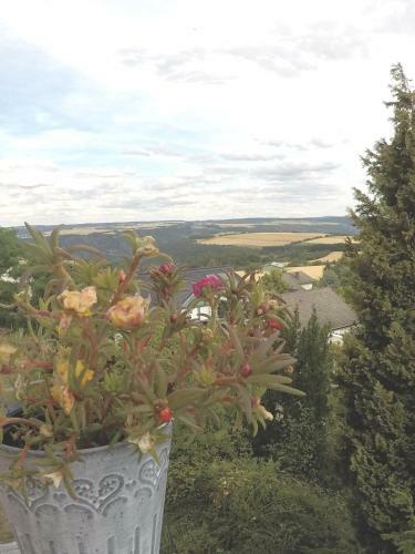 Bed & Breakfast Zum Alten Pfarrhaus