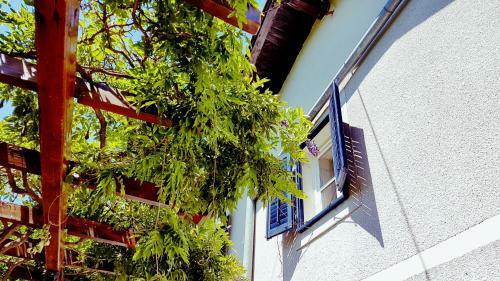 Apartments Panoramic