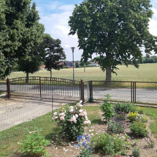 Apartamento Ferienwohnung Am Scheunenkaffee Kachlin