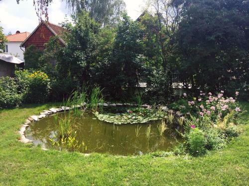 Apartamento Sch�ne Gem�tliche Ferienwohnung Mit Kamin Im Harz I