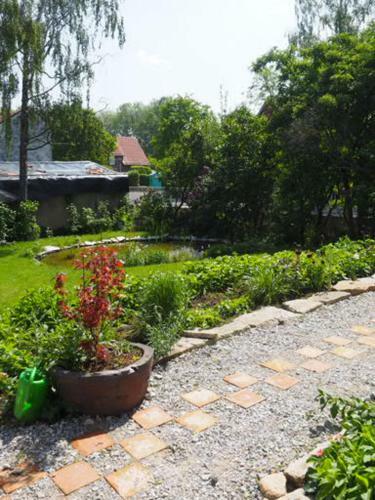 Apartamento Sch�ne Gem�tliche Ferienwohnung Mit Kamin Im Harz I