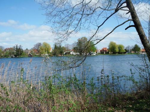 Ferienhaus Paula Am Klostersee, Urlaub Mit Hund