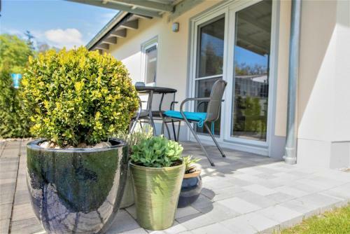 Ferienhaus Paula Am Klostersee, Urlaub Mit Hund