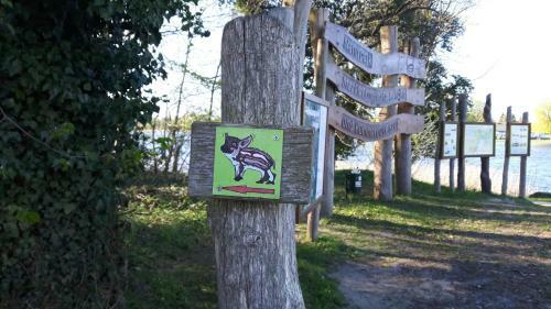 Ferienhaus Paula Am Klostersee, Urlaub Mit Hund