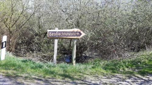 Ferienhaus Paula Am Klostersee, Urlaub Mit Hund