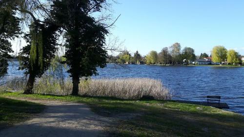 Ferienhaus Paula Am Klostersee, Urlaub Mit Hund