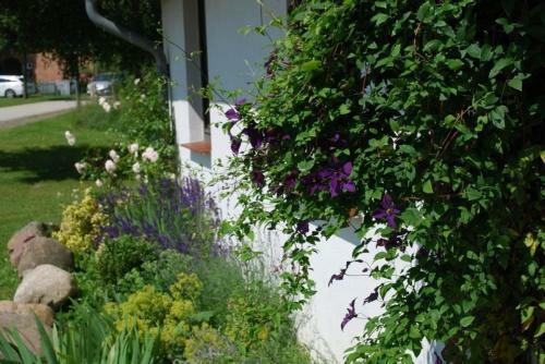Apartamento Wollin - Alte Schule Barlin