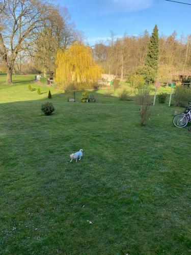 Apartamento Gutshaus Schwarzenhof