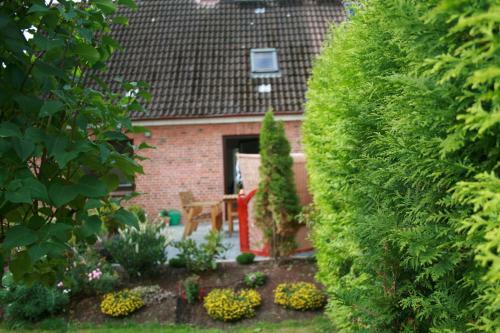 Apartamento Fewo Ku� - Seehund