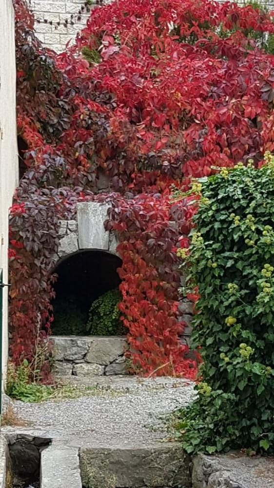 Hotel Auberge Du Riou