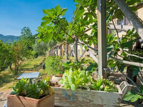 Holiday Home Il Castagneto Pontassieve