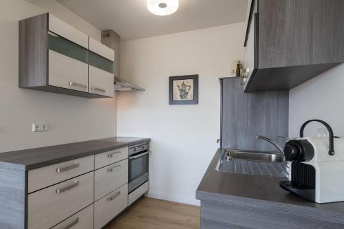 Apartamento Diekhuus B�sum