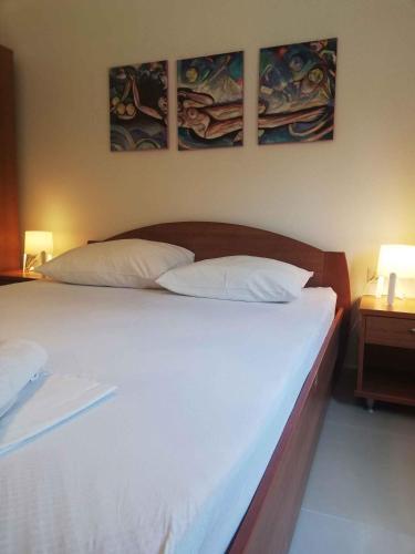 Apartment In Mandre With Two-bedrooms 1