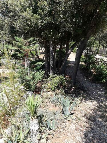 Apartment In Mandre With Two-bedrooms 1