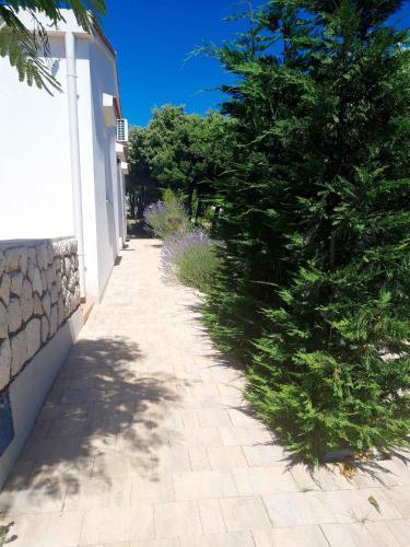 Apartment In Mandre With Two-bedrooms 1